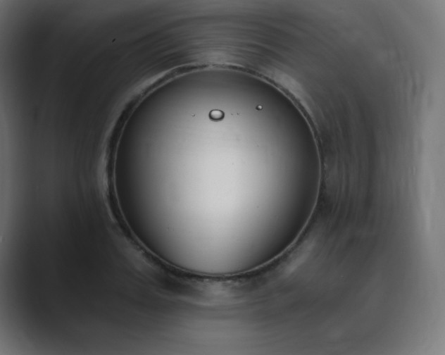 X0000089850987200706281248