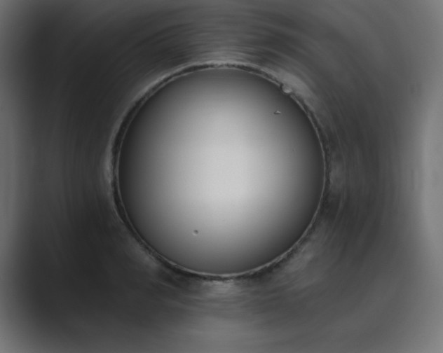 X0000089850990200706281248