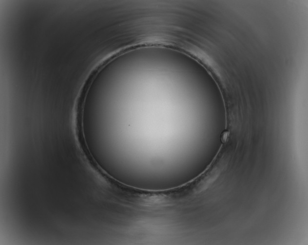 X0000089850991200706281248