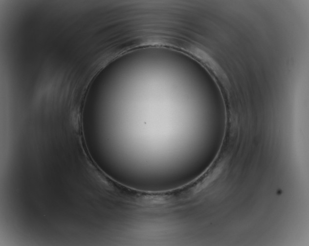 X0000089850993200706281248