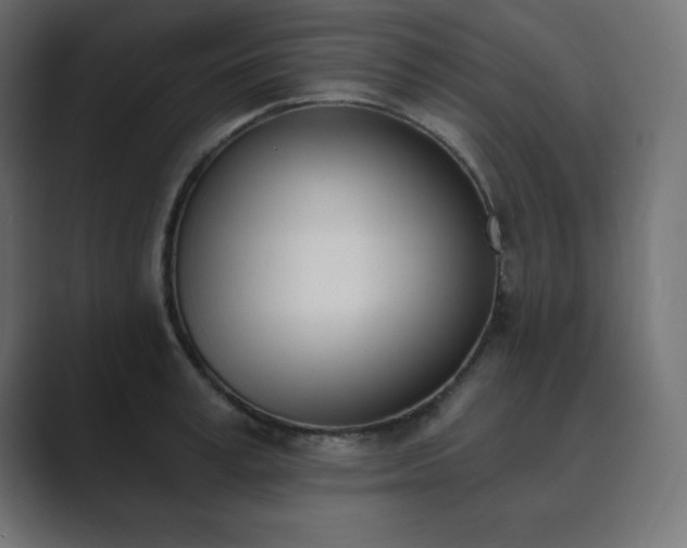 X0000089850995200706281248