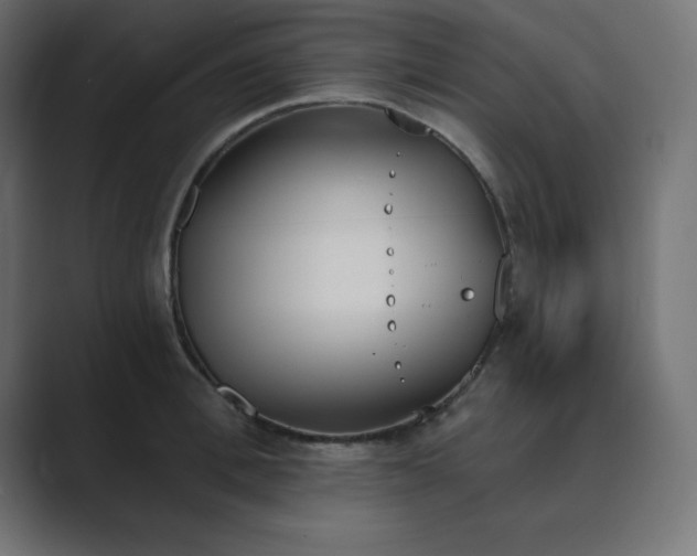 X0000089850996200706281248