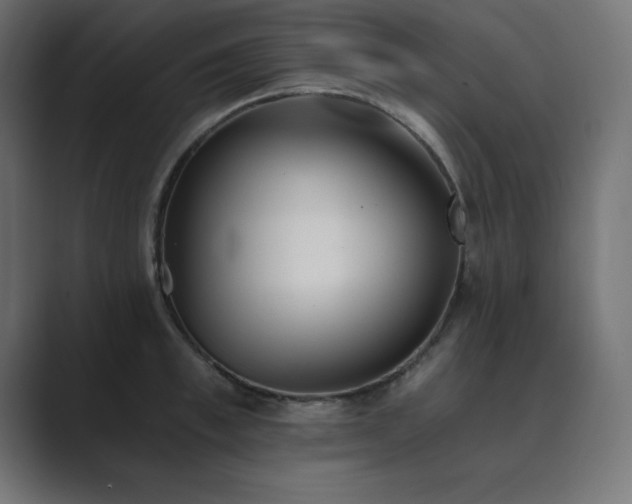 X0000089850997200706281248