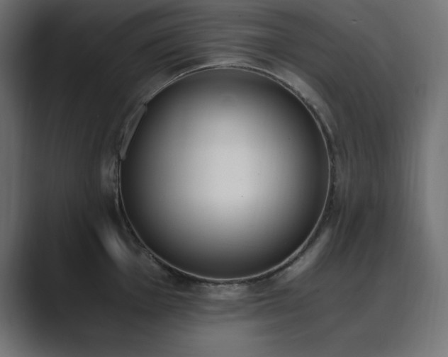 X0000089851001200706281248