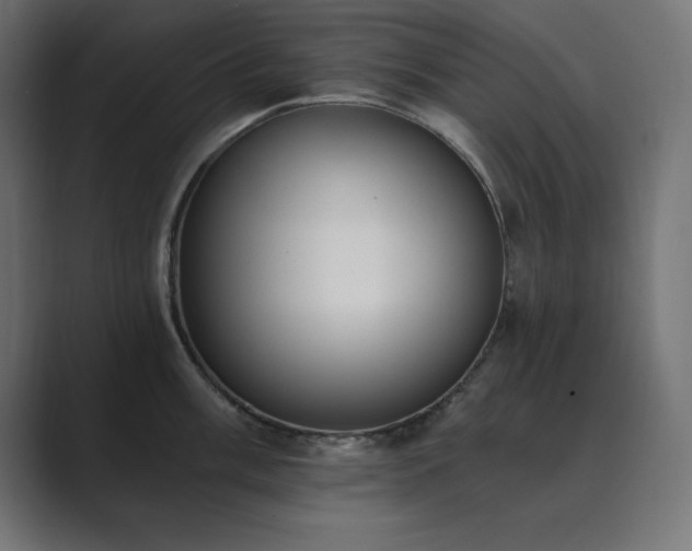 X0000089851003200706281248