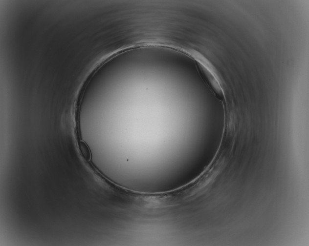 X0000089851005200706281248