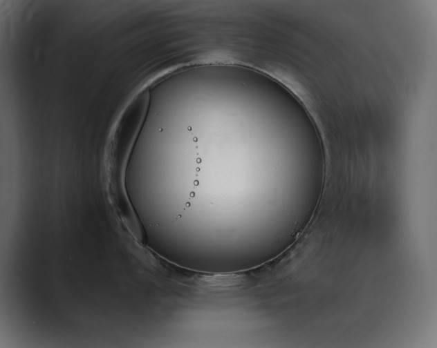 X0000089851008200706281248