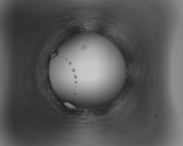 X0000089851009200706281247