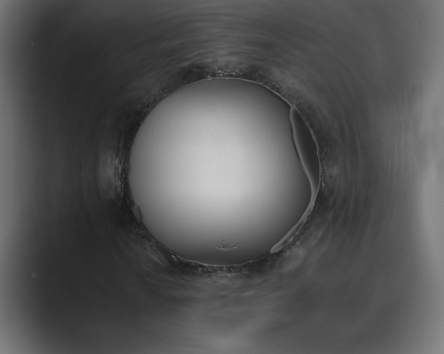 X0000089851010200706281247