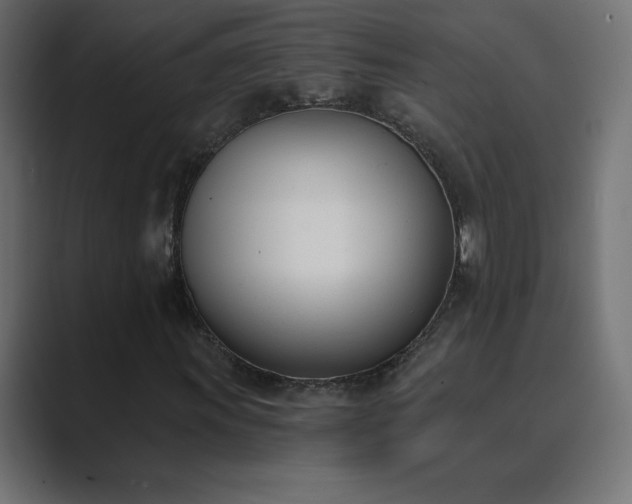 X0000089851011200706281247