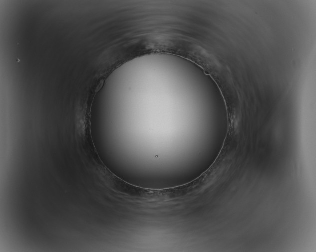 X0000089851012200706281247