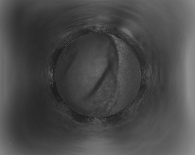 X0000089851013200706281247