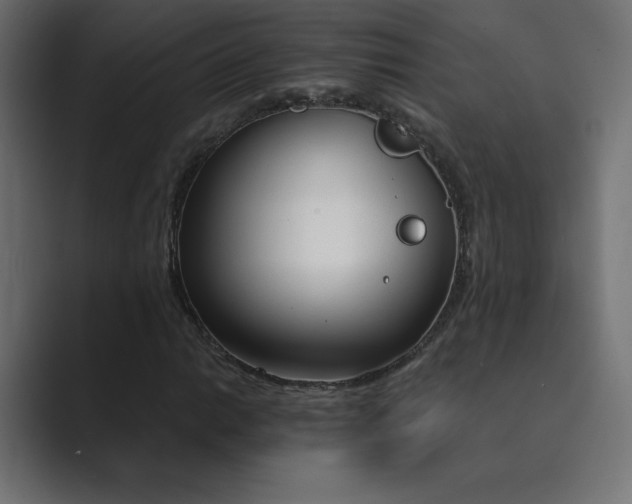 X0000089851014200706281247