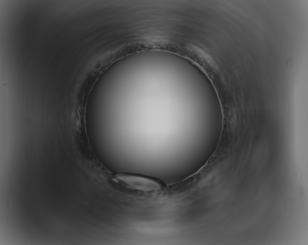 X0000089851016200706281247