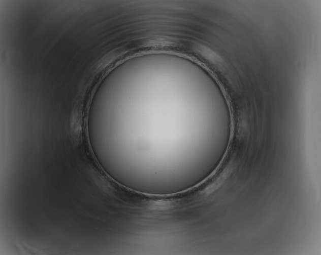 X0000089851017200706281247