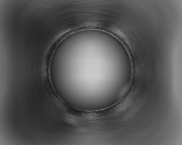 X0000089851019200706281247