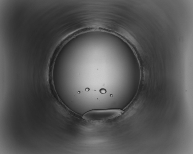 X0000089851020200706281247