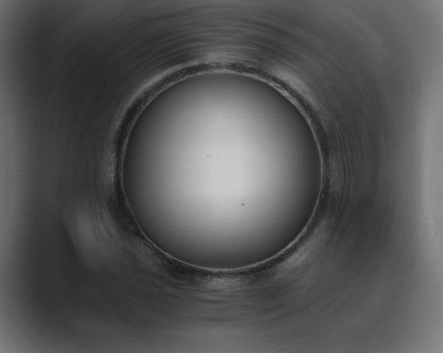 X0000089851021200706281247