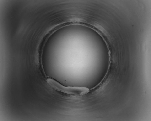X0000089851022200706281247