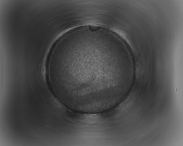 X0000089851024200706281247