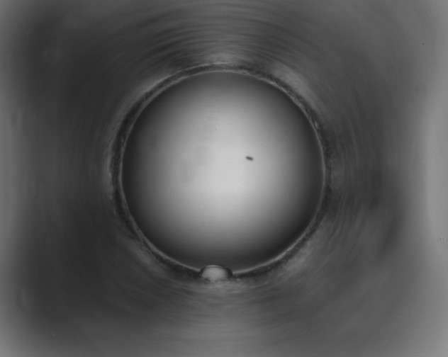 X0000089851026200706281247