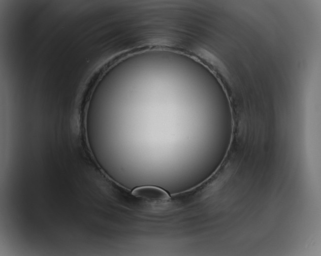 X0000089851027200706281247