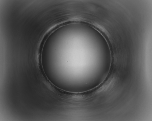 X0000089851029200706281247