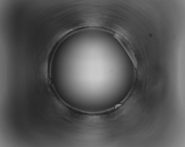 X0000089851030200706281247