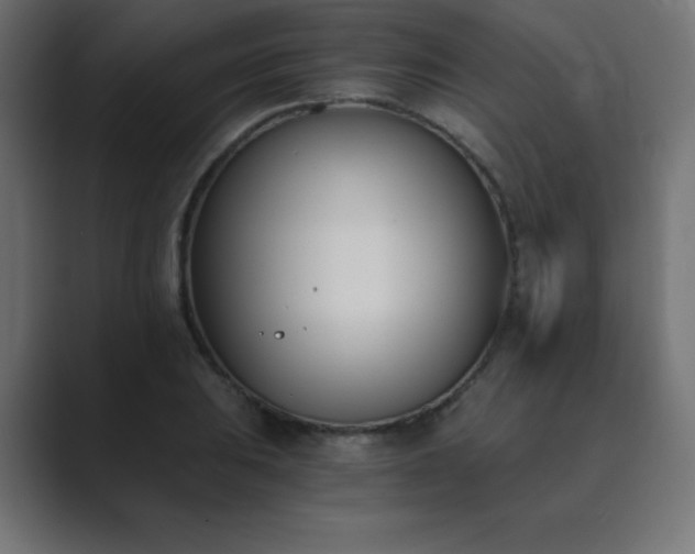 X0000089851031200706281247