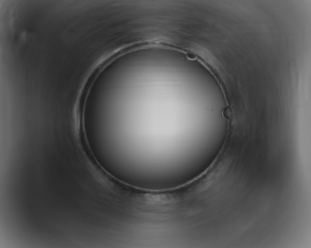X0000089851032200706281247