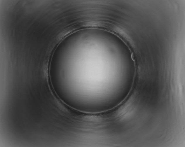X0000089851033200706281247