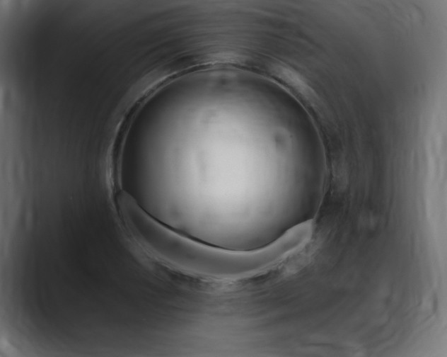 X0000089851034200706281247