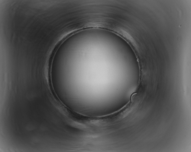 X0000089851035200706281247