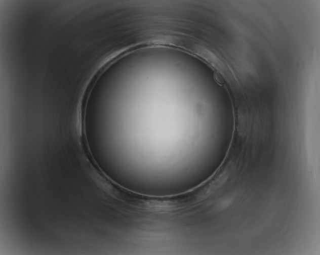 X0000089851036200706281247