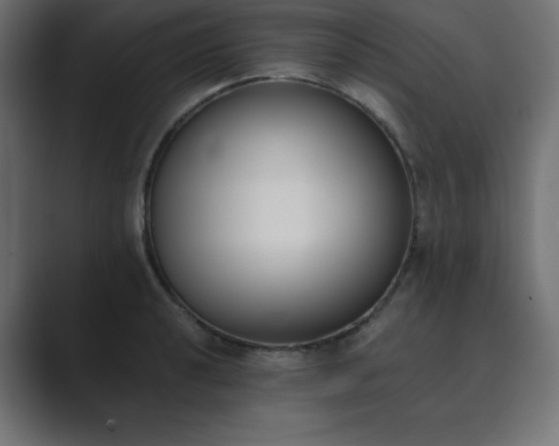 X0000089851040200706281247