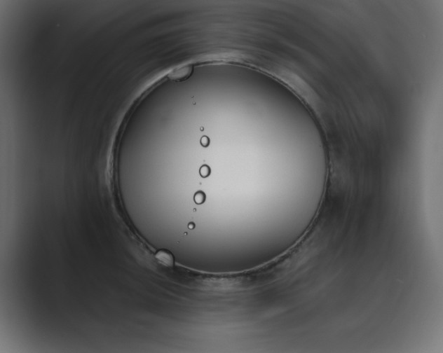 X0000089851044200706281247