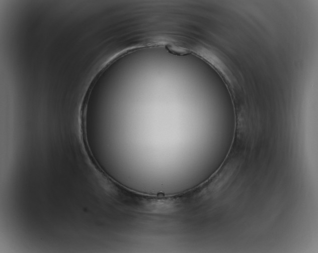 X0000089851047200706281247