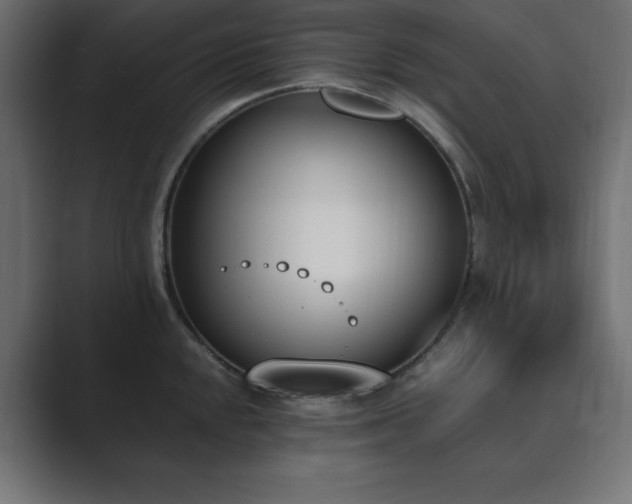 X0000089851048200706281247