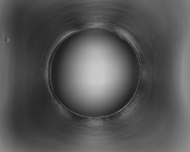 X0000089851050200706281248