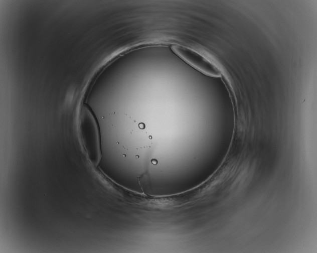 X0000089851053200706281248