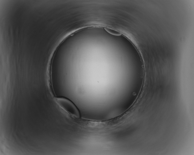 X0000089851056200706281248