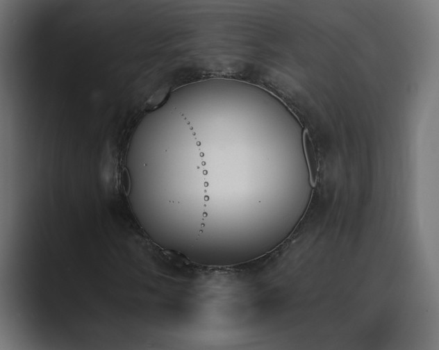 X0000089851058200706281247