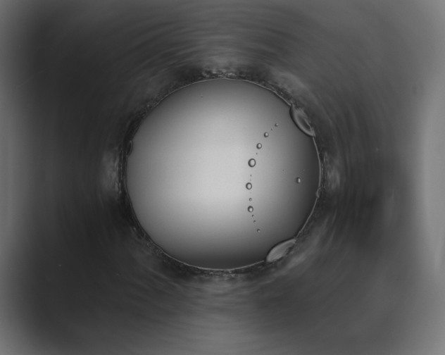 X0000089851060200706281247