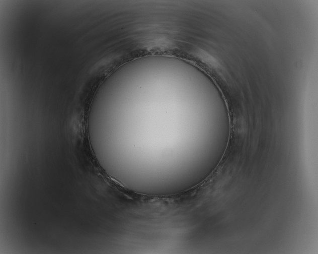 X0000089851063200706281247
