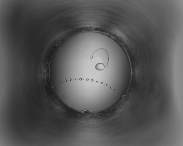 X0000089851064200706281247