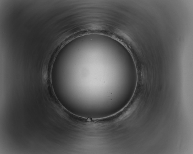 X0000089851065200706281247