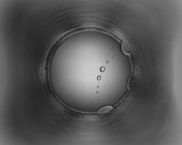 X0000089851068200706281247