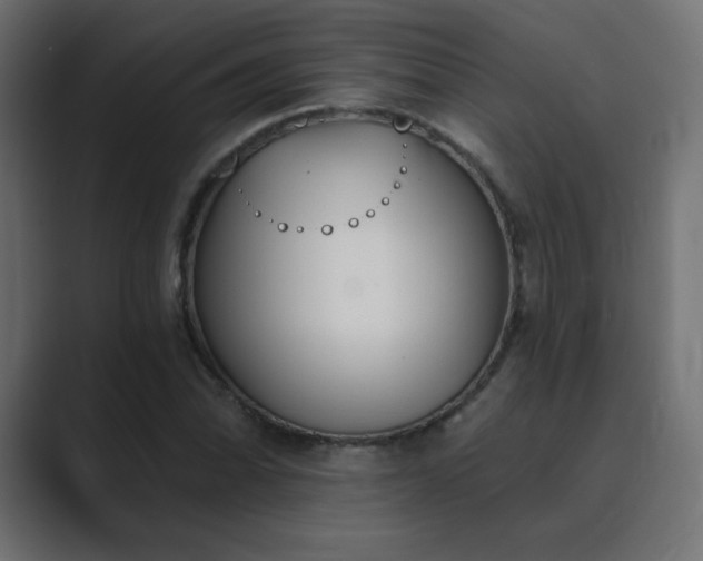 X0000089851070200706281247