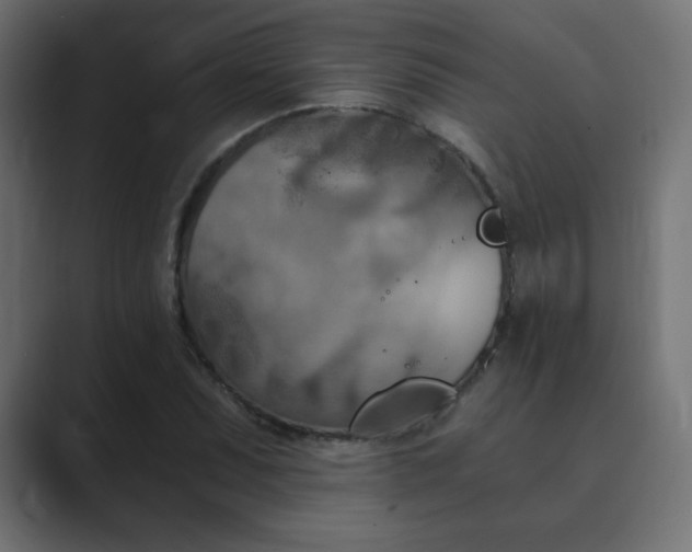 X0000089851071200706281247