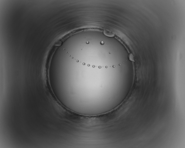 X0000089851072200706281247